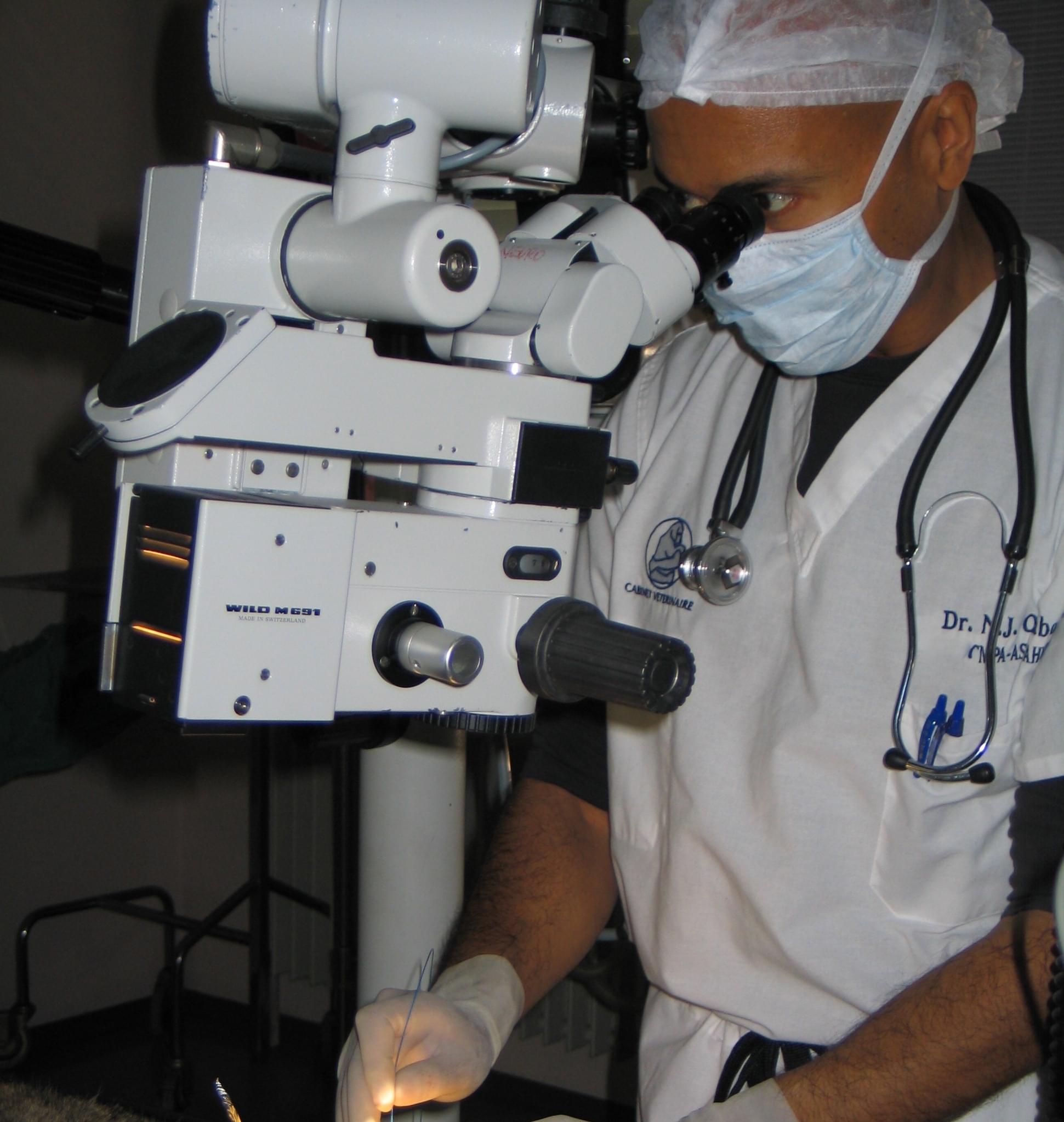 Dr. Omaboe, Vétérinaire Nyon, Veterinaire Nyon, Nyon Veterinaire, Nyon Vétérinaire, cabinet vétérinaire Nyon, cabinet veterinaire Nyon, clinique vétérinaire Nyon, vétérinaire de Garde Nyon,veterinaire de Garde Nyon, Cabinet Vétérinaire International