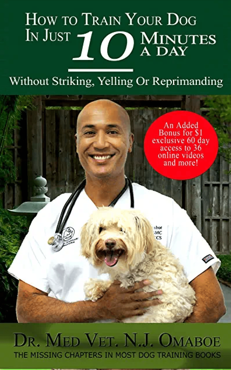 Vétérinaire Nyon, Veterinaire Nyon, Nyon Veterinaire, Nyon Vétérinaire, cabinet vétérinaire Nyon, cabinet veterinaire Nyon, clinique vétérinaire Nyon, vétérinaire de Garde Nyon,veterinaire de Garde Nyon, Cabinet Vétérinaire International
